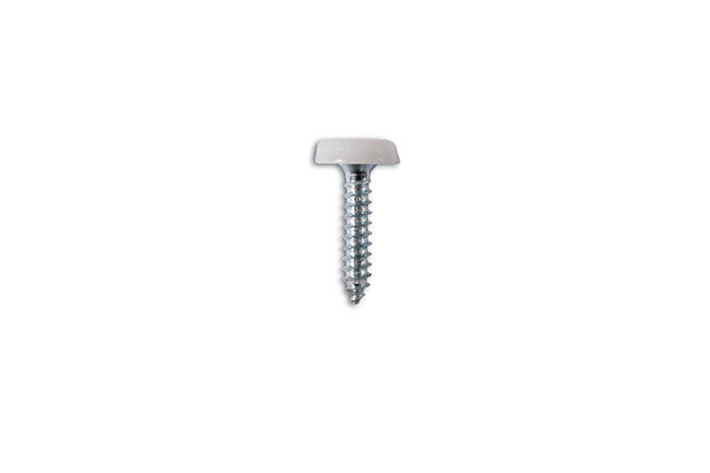 31546 1" White vehicle number plate fixing screw.